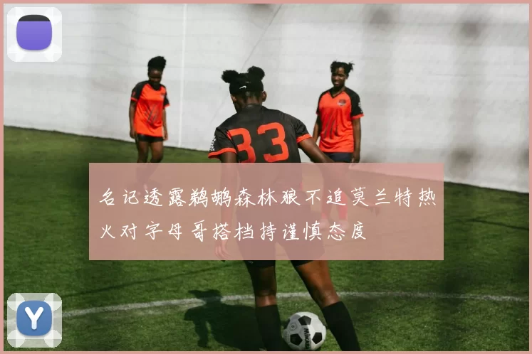 名记透露鹈鹕森林狼不追莫兰特热火对字母哥搭档持谨慎态度