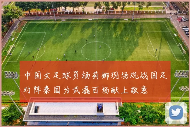 中国女足球员杨莉娜现场观战国足对阵泰国为武磊百场献上敬意