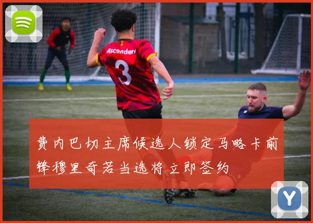 费内巴切主席候选人锁定马略卡前锋穆里奇若当选将立即签约